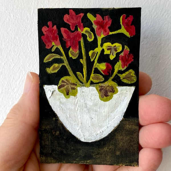 Image of pelargonium in a white bowl