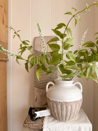 Image 1 of Ditsy Foliage Sprays ( 3 included )