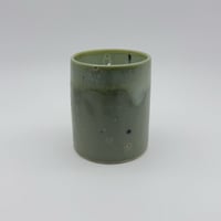 Image 3 of Fickle Fern 