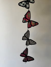 Image 8 of Butterflies V8