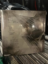 Image 2 of LP In Flames «Sounds of a Playground Fading»