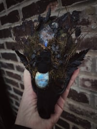 Image 5 of Memento Mori vi 