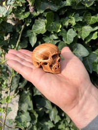 Image 2 of Olive wood skull