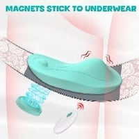 Image 1 of Panty Partner Pro