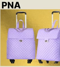 Image 4 of Organization Rolling Bag