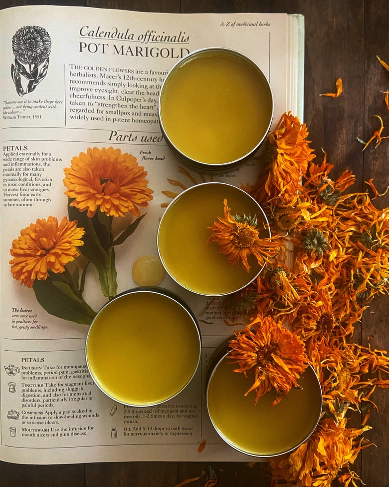 Image of Calendula Balm - Family sized 80g tin 