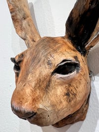 Image 3 of A Hare closer to hearing your secrets- Julie Kradel