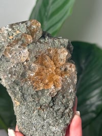 Image 2 of XL HALF POLISHED HIMALAYAN RUTILE IN QUARTZ CLUSTER D
