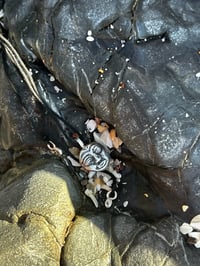 Image 2 of Old Sun Amulet