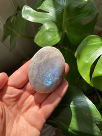 Image 3 of Moonstone Palm Crystal (7)