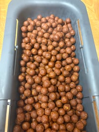 Image 2 of Curry nut krill boilies