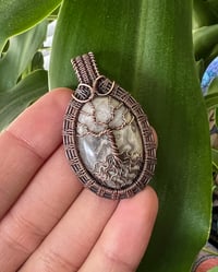 Image 2 of Lace Agate - Tree Of Life