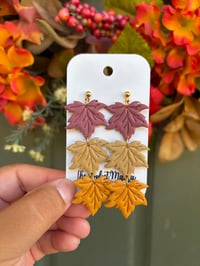 Maple Moods