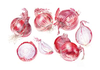 Image 1 of A4 and A3 Red Onions and Red Cabbage Print