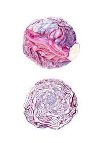 Image 4 of A4 and A3 Red Onions and Red Cabbage Print