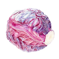 Image 5 of A4 and A3 Red Onions and Red Cabbage Print