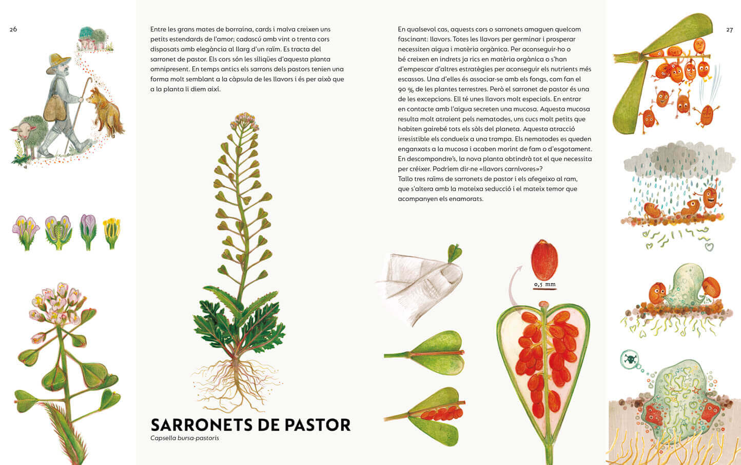 Image of Un ram de males herbes