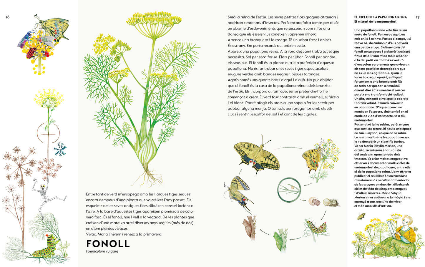 Image of Un ram de males herbes