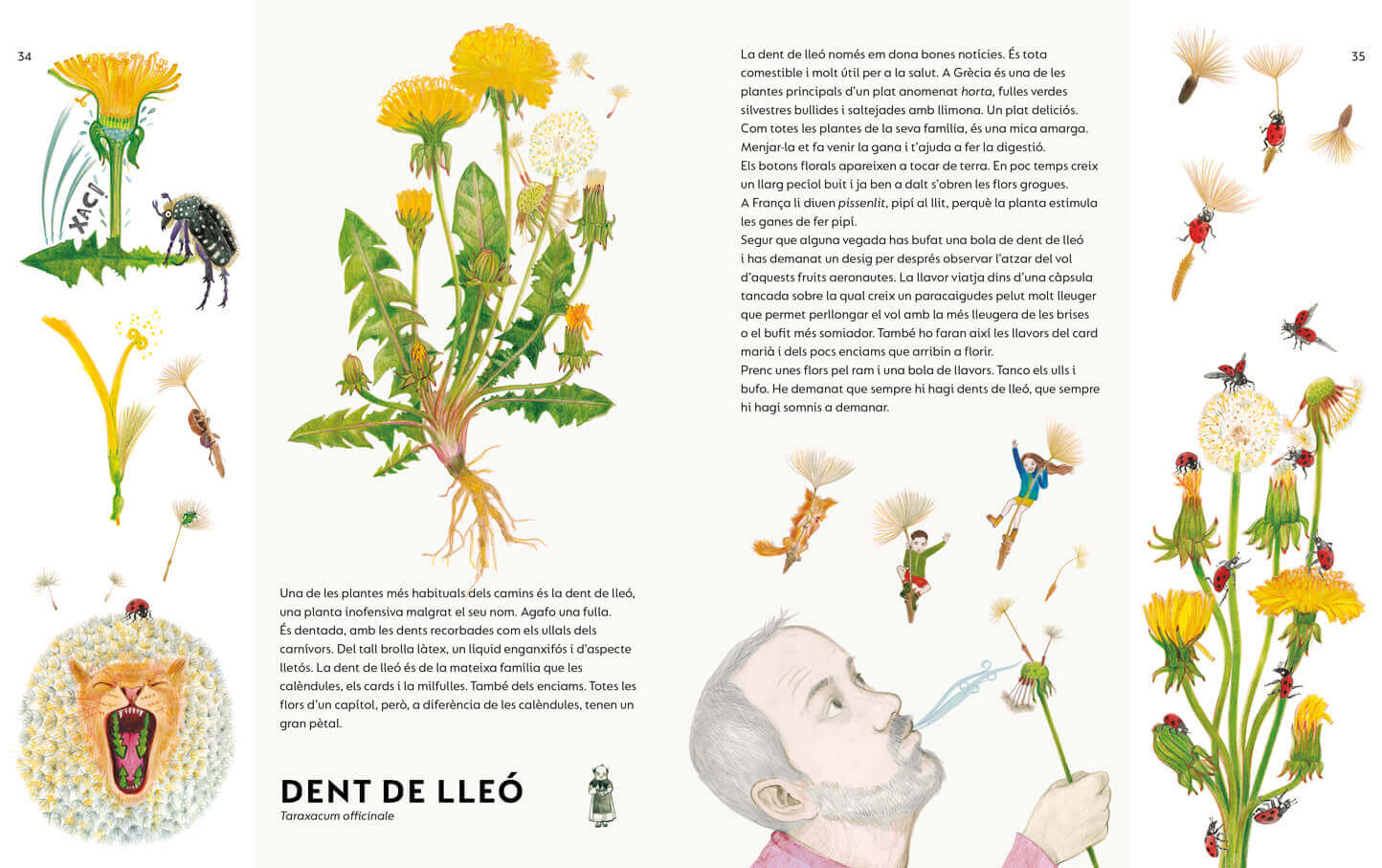 Image of Un ram de males herbes