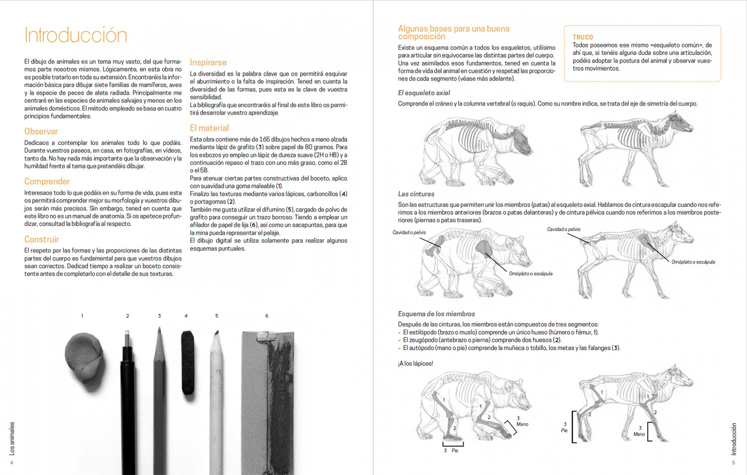 Image of Dibujar los animales