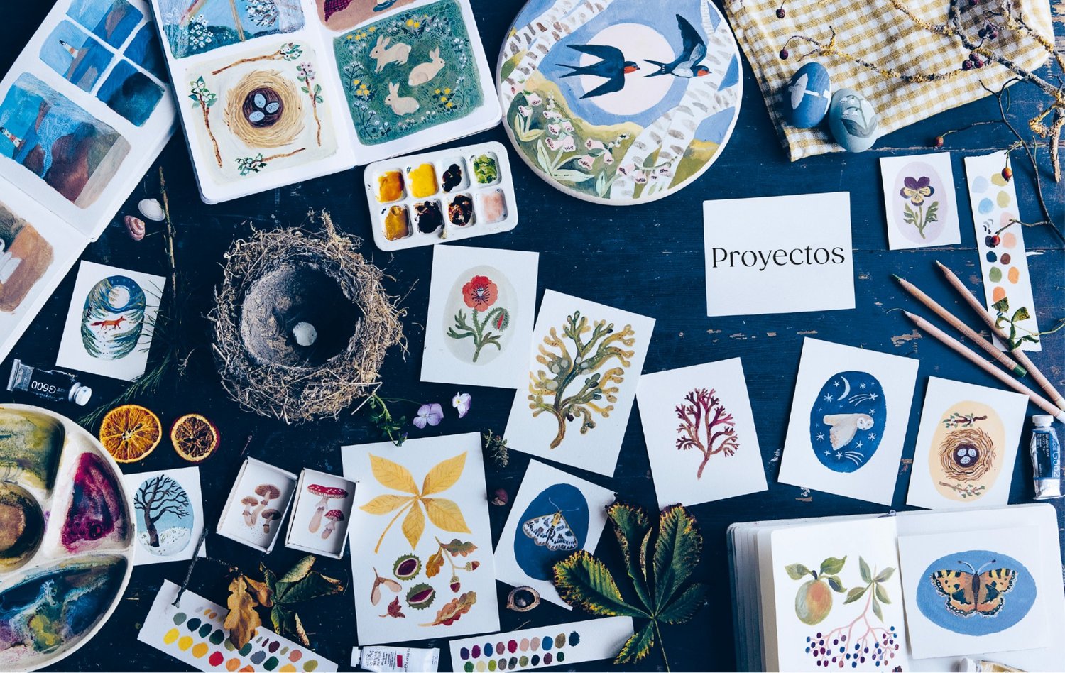 Image of Pintar la naturaleza Técnicas y proyectos paso a paso