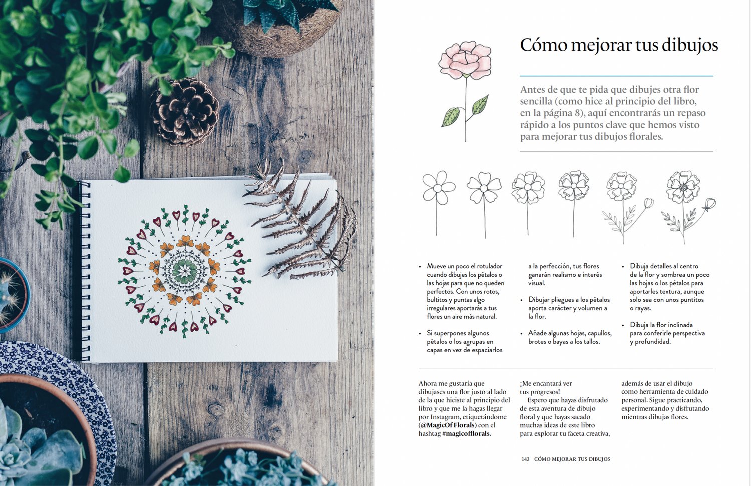 Image of Dibujar flores Un manual paso a paso