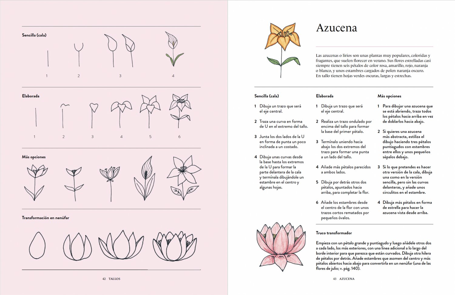 Image of Dibujar flores Un manual paso a paso