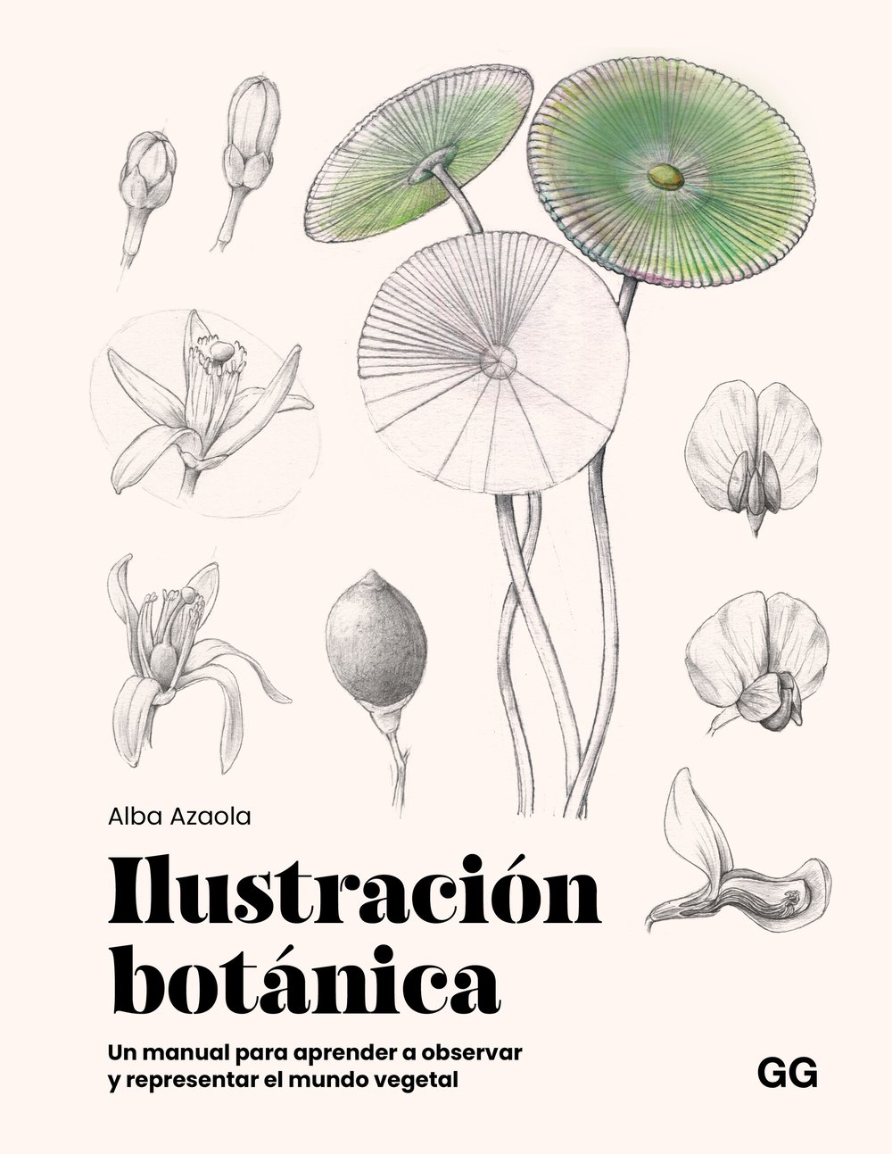 Image of Ilustración botánica Un manual para aprender a observar y representar el mundo vegetal
