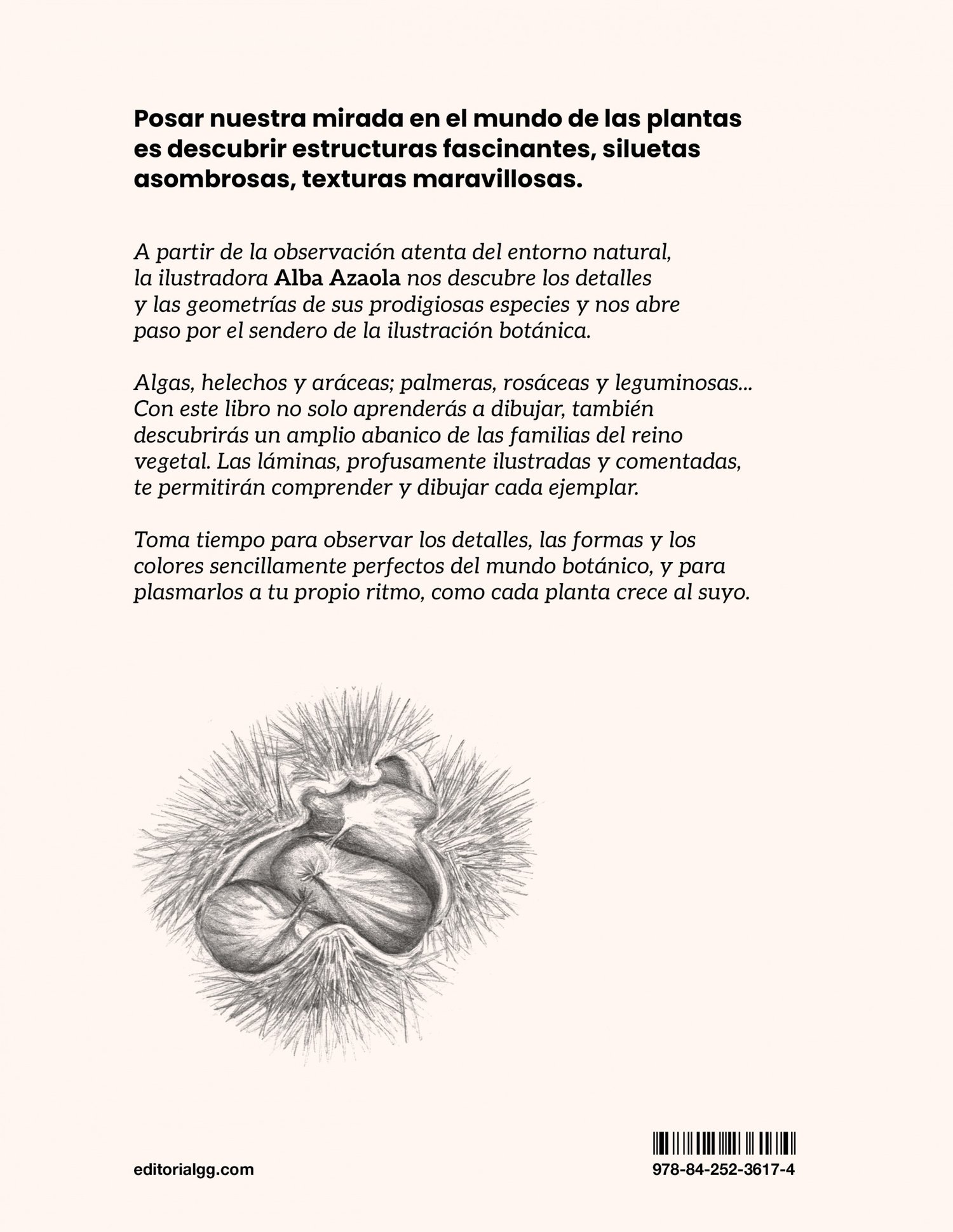 Image of Ilustración botánica Un manual para aprender a observar y representar el mundo vegetal