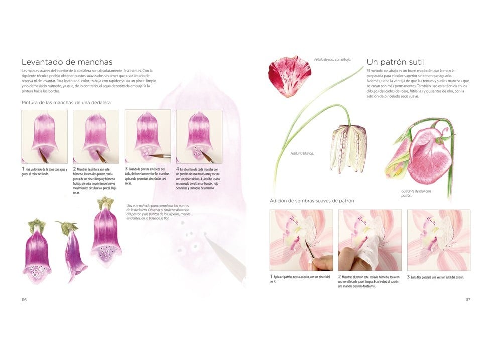 Image of PINTURA BOTÁNICA Aprende a pintar flores y plantas con acuarela