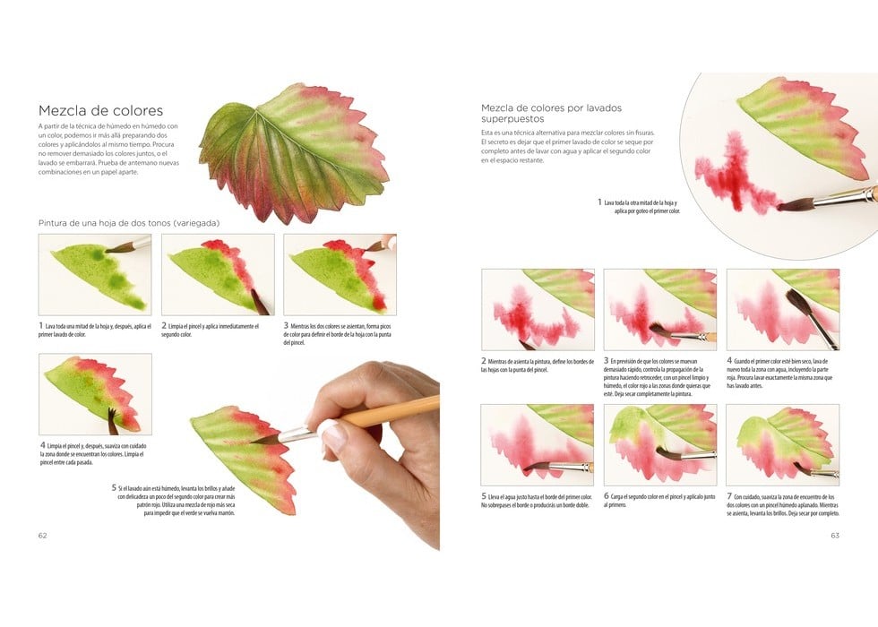 Image of PINTURA BOTÁNICA Aprende a pintar flores y plantas con acuarela