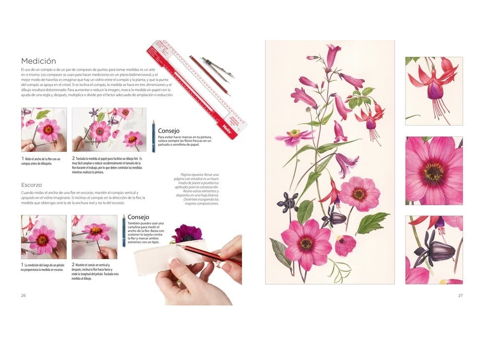 Image of PINTURA BOTÁNICA Aprende a pintar flores y plantas con acuarela