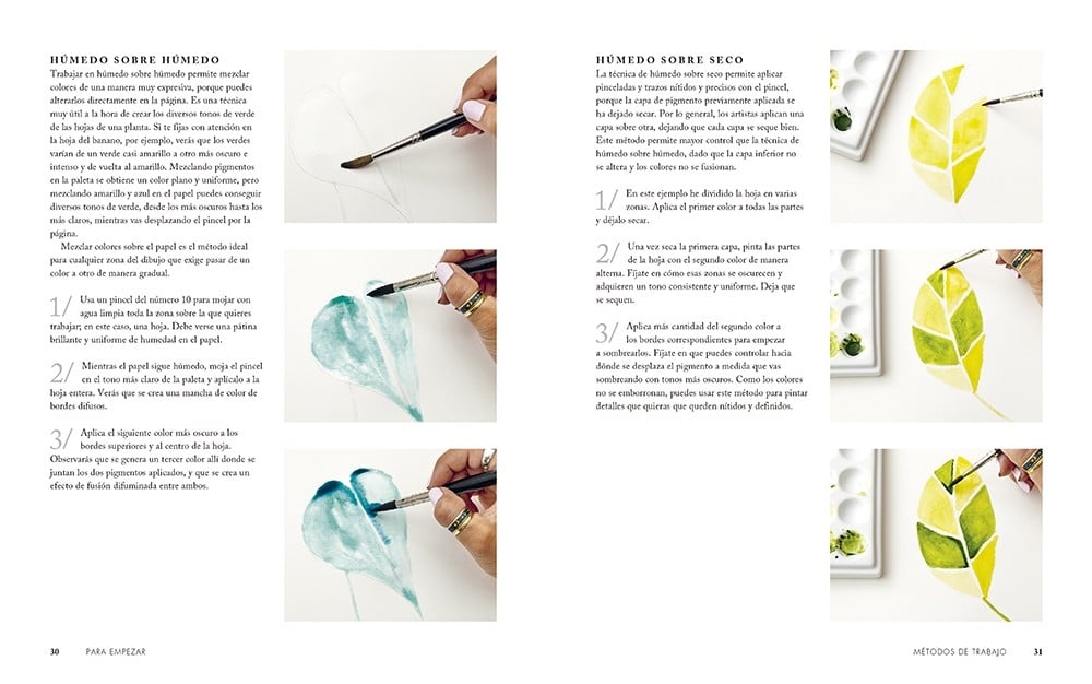 Image of Arte botánico con acuarela 20 proyectos con plantas paso a paso