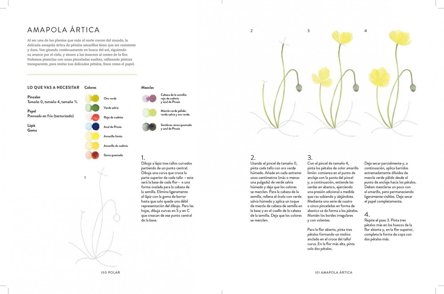 Image of Aves, abejas y flores Guía paso a paso para pintar plantas y animales con acuarela
