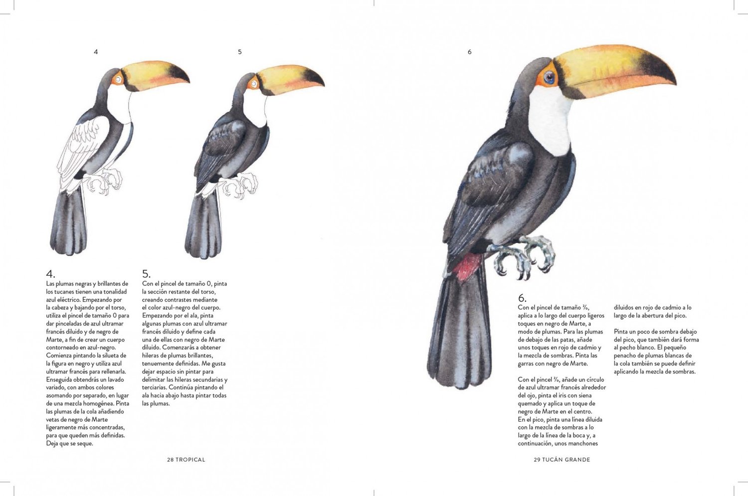 Image of Aves, abejas y flores Guía paso a paso para pintar plantas y animales con acuarela