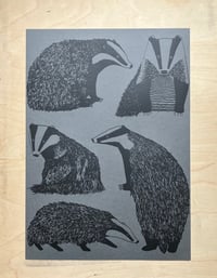 Image 6 of Badger Print 