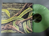 RAINFOREST SPIRITUAL ENSLAVEMENT | GREEN GRAVES