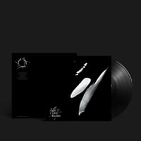 RAINFOREST SPIRITUAL ENSLAVEMENT | KILLER WHALE ATMOSPHERES