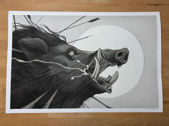 Image of Boar