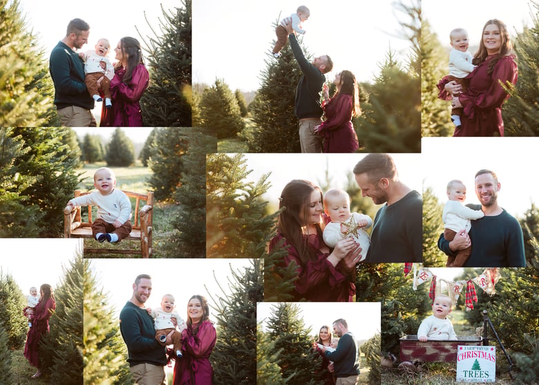 Image of Christmas Tree Farm Mini Sessions - Sat, November 14th, 2026 - Gaver Farm, Mt. Airy, MD