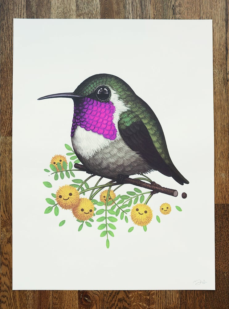 Image of Lucifer Hummingbird (Screenprint)