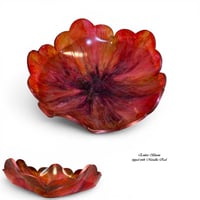Image 7 of The Bloom Collection