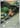 Kangaskhan - 110/098 - SV10: The Glory of Team Rocket - Near Mint