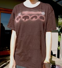 Mushroom evolution shirt