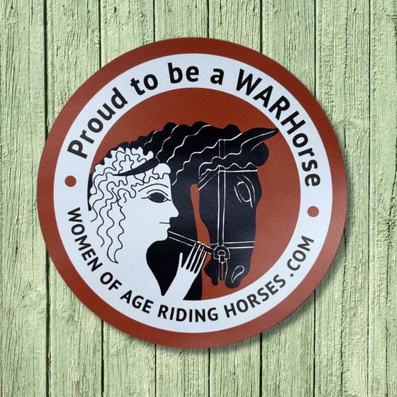Image of 3" Vinyl Magnet