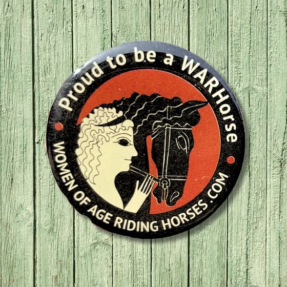 Image of Lapel Pin