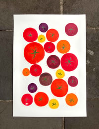 Image 3 of TOMS IX