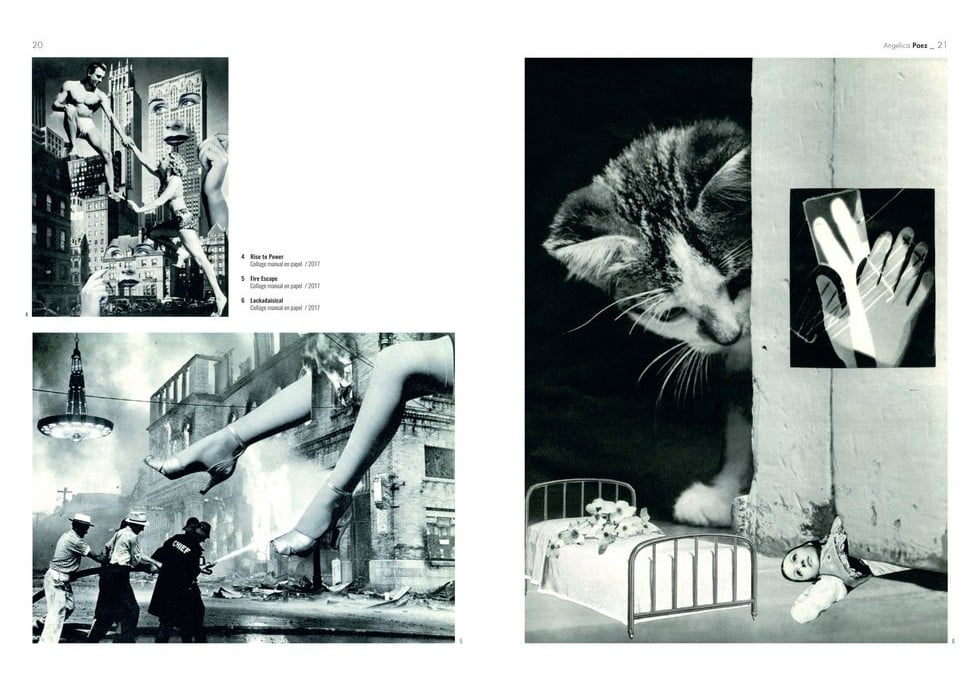 Image of COLLAGE FIRMADO POR MUJERES 50 artistas contemporáneas esenciales