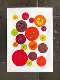 Image 2 of TOMS X