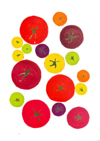 Image 1 of TOMS XII